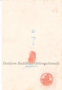 Back Side of HH Dudjom Rinpoche Line of Incarnations (the Cryst