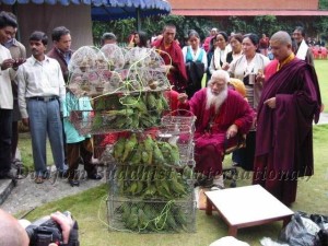 HH Chadral Rinpoche releasing birds